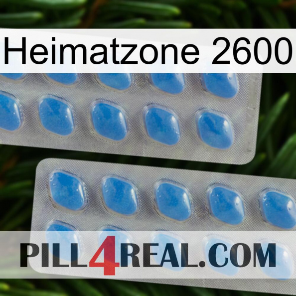 Home Zone 2600 23.jpg